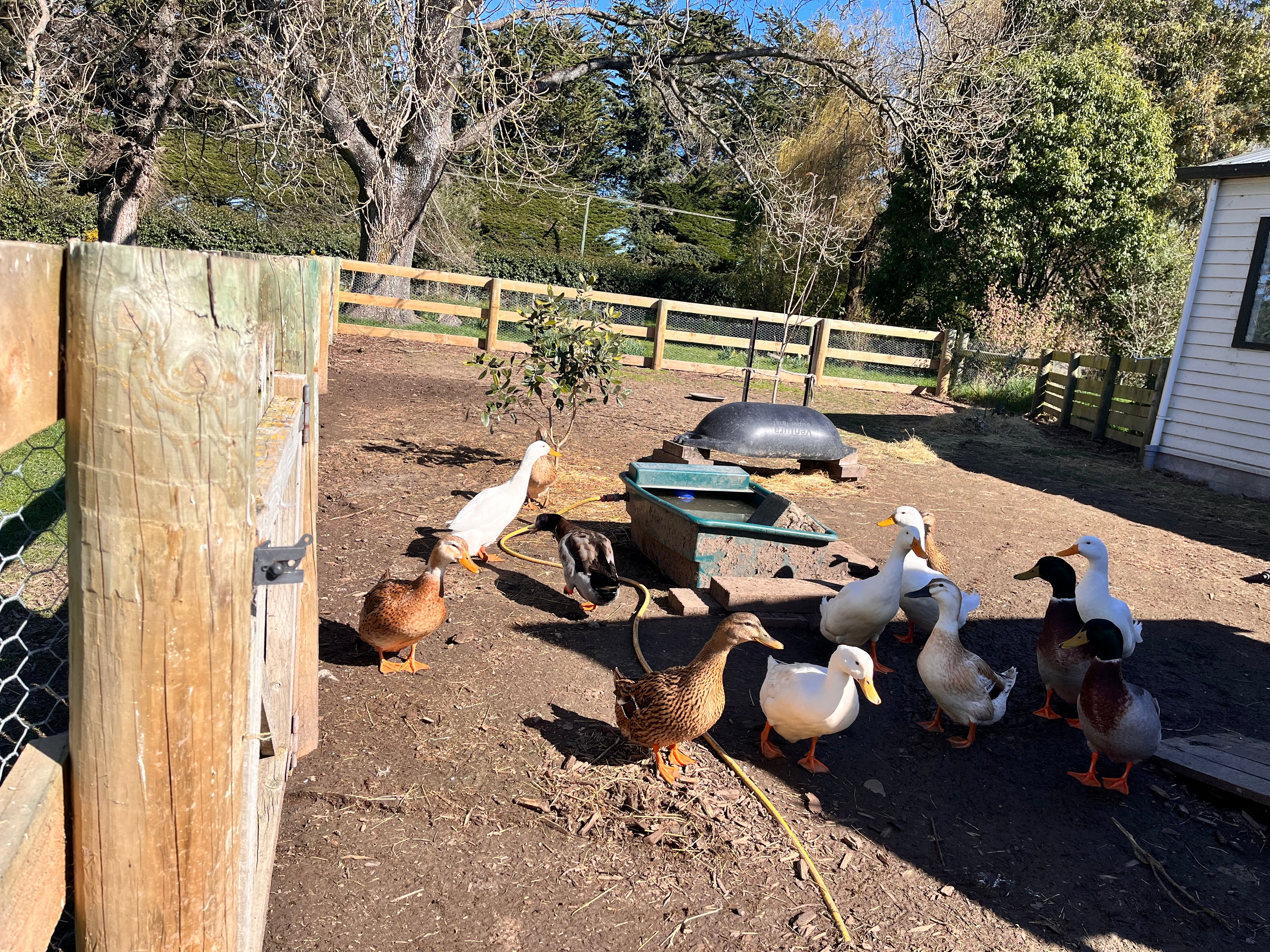 FairView Homestead - Home Stay