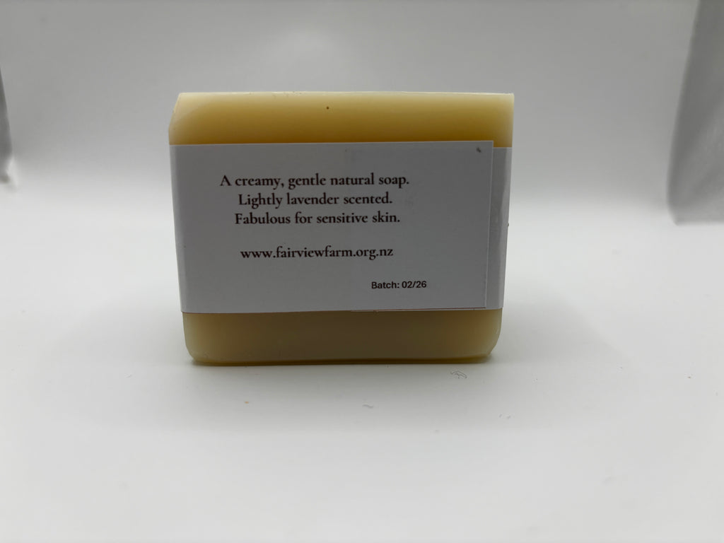 Everyday Soap