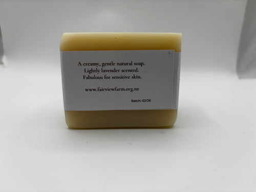Everyday Soap